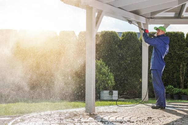 Best Driveway Pressure Washing  in Parkland, FL