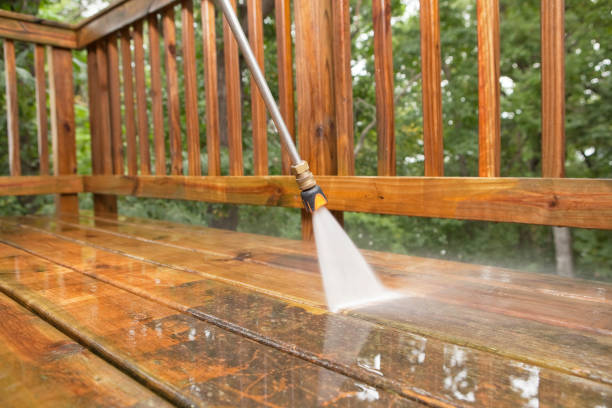 Animal Enclosure Cleaning in Parkland, FL